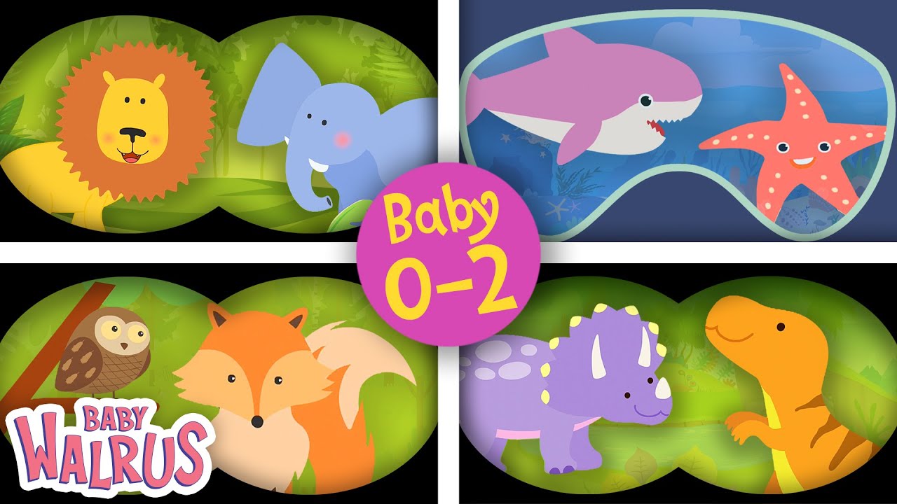 Zusammenstellung | Schlaues Baby - Guck-Guck | Lernserien f&uuml;r Babys 0-2 🦈