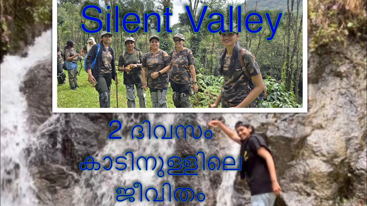 Silent valley National Park,No network Life in Forest camp 2 days #nationalpark #silentvalley #trip