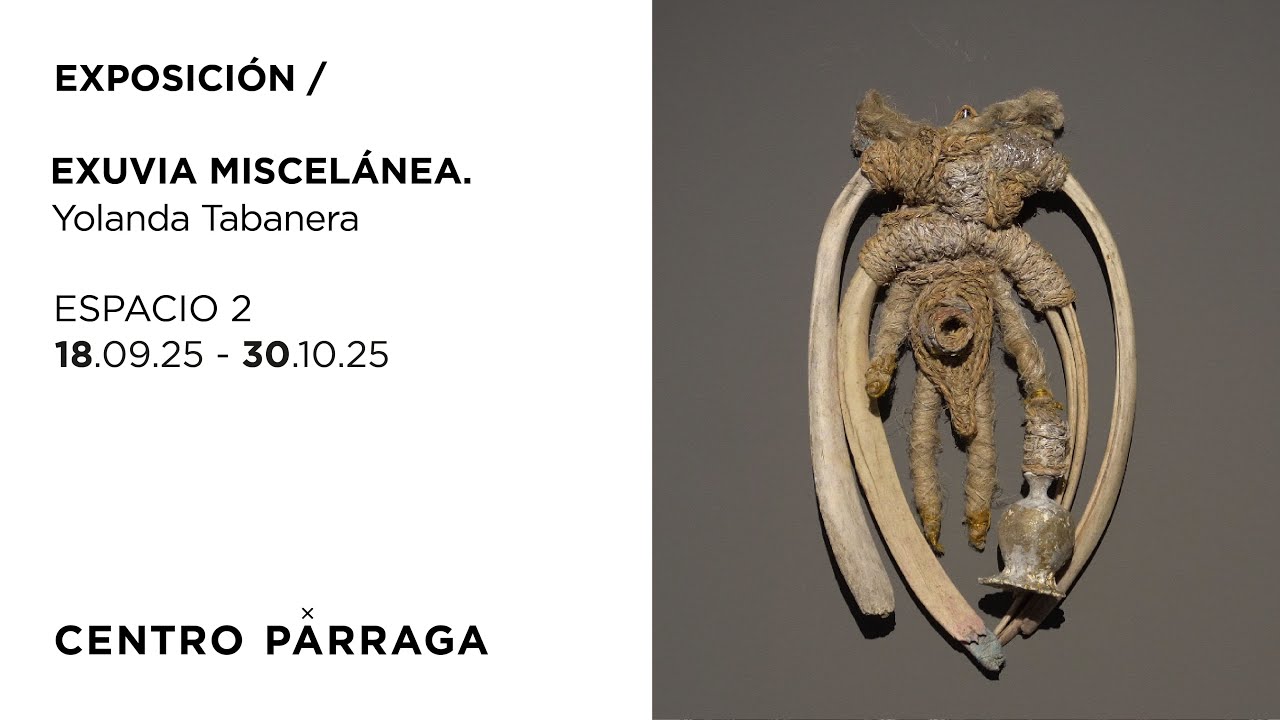 EXPOSICIÓN / EXUVIA MISCELÁNEA. Yolanda Tabanera