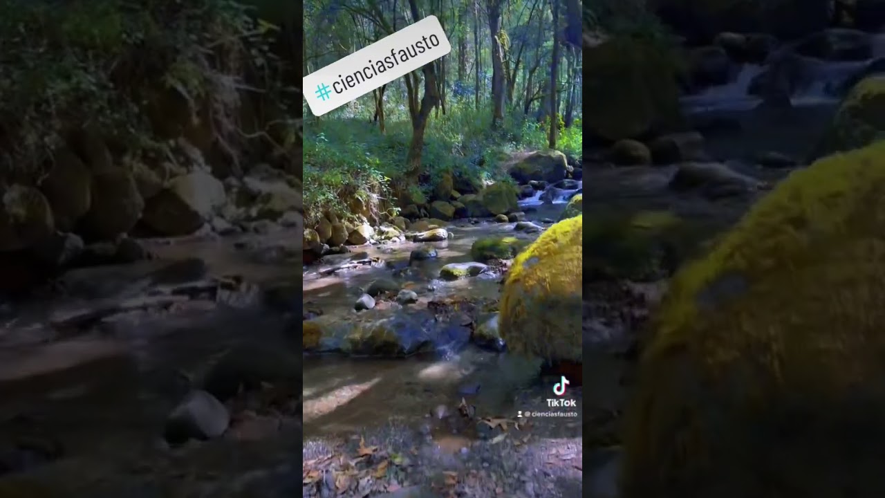 EXPLORANDO MÉXICO