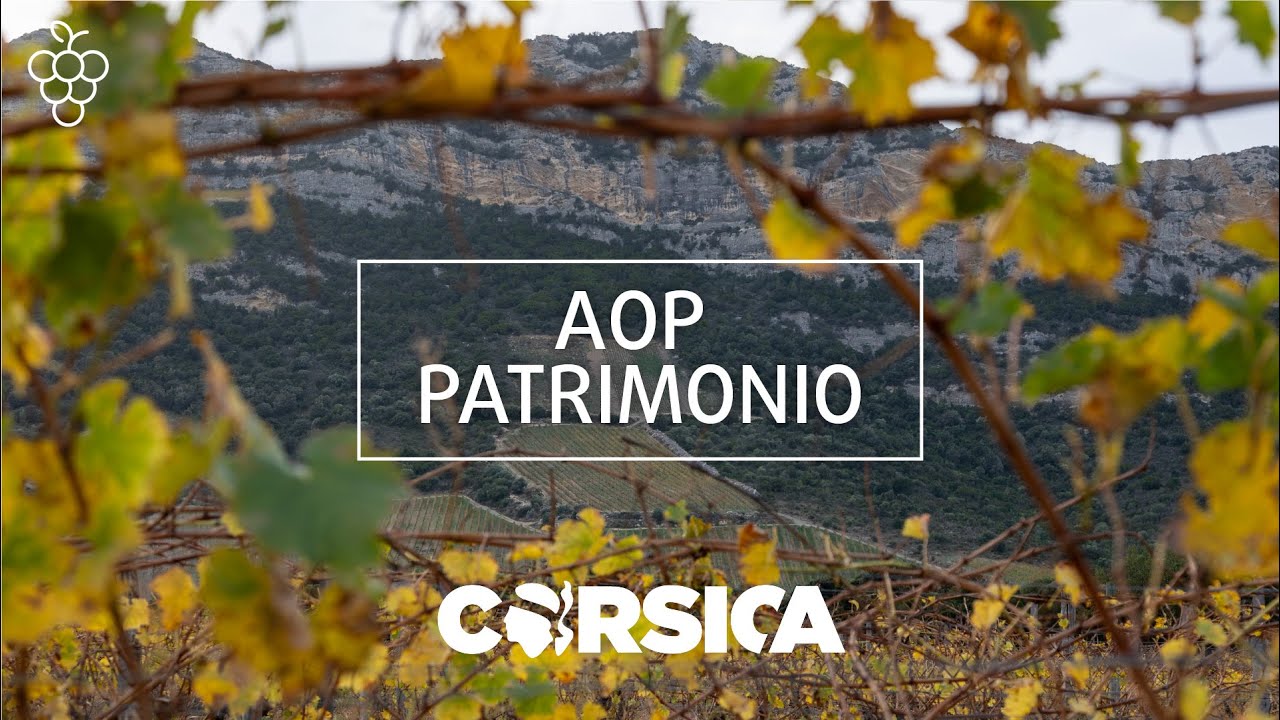 🍇 [AUTOUR DU VIN] - À la découverte de l'AOP PATRIMONIO