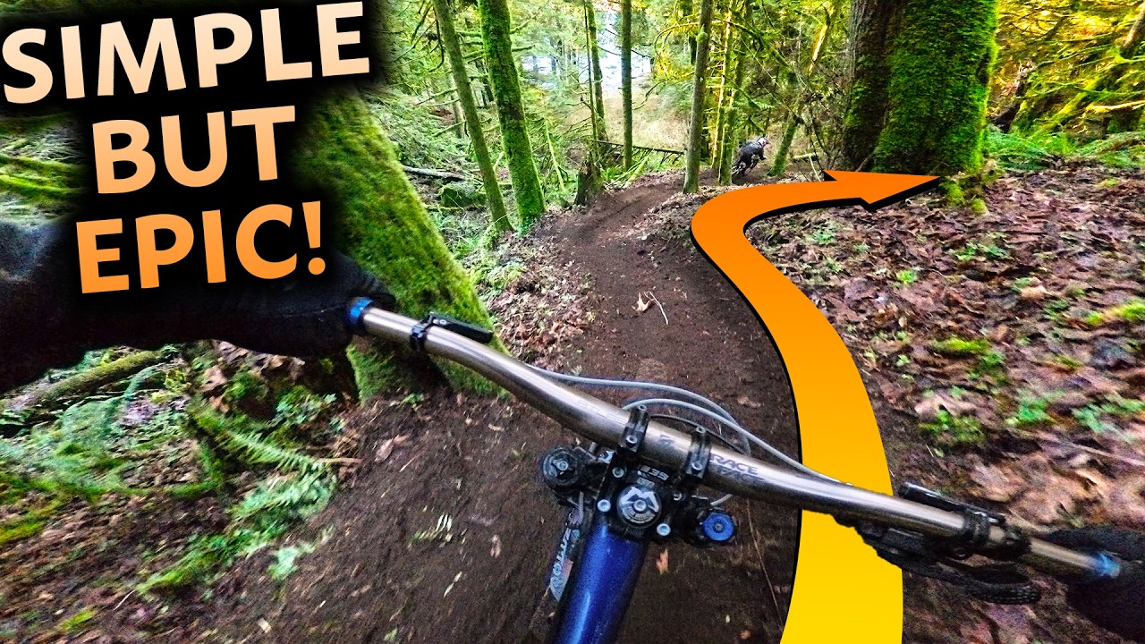 My New Backyard Trail was the Easiest thing I ever Built!