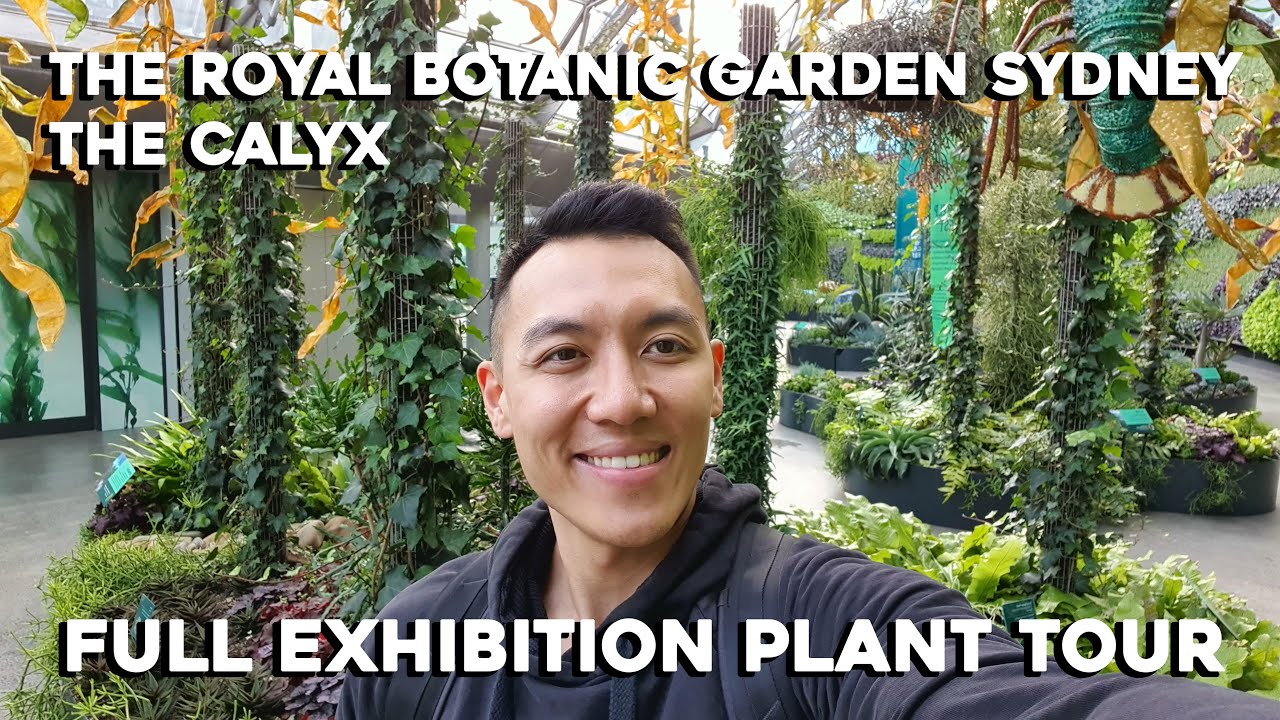 Royal Botanic Garden Sydney, The Calyx | Plant Tour | Full Exhibit Walkthrough of ‘Inside the Tide’