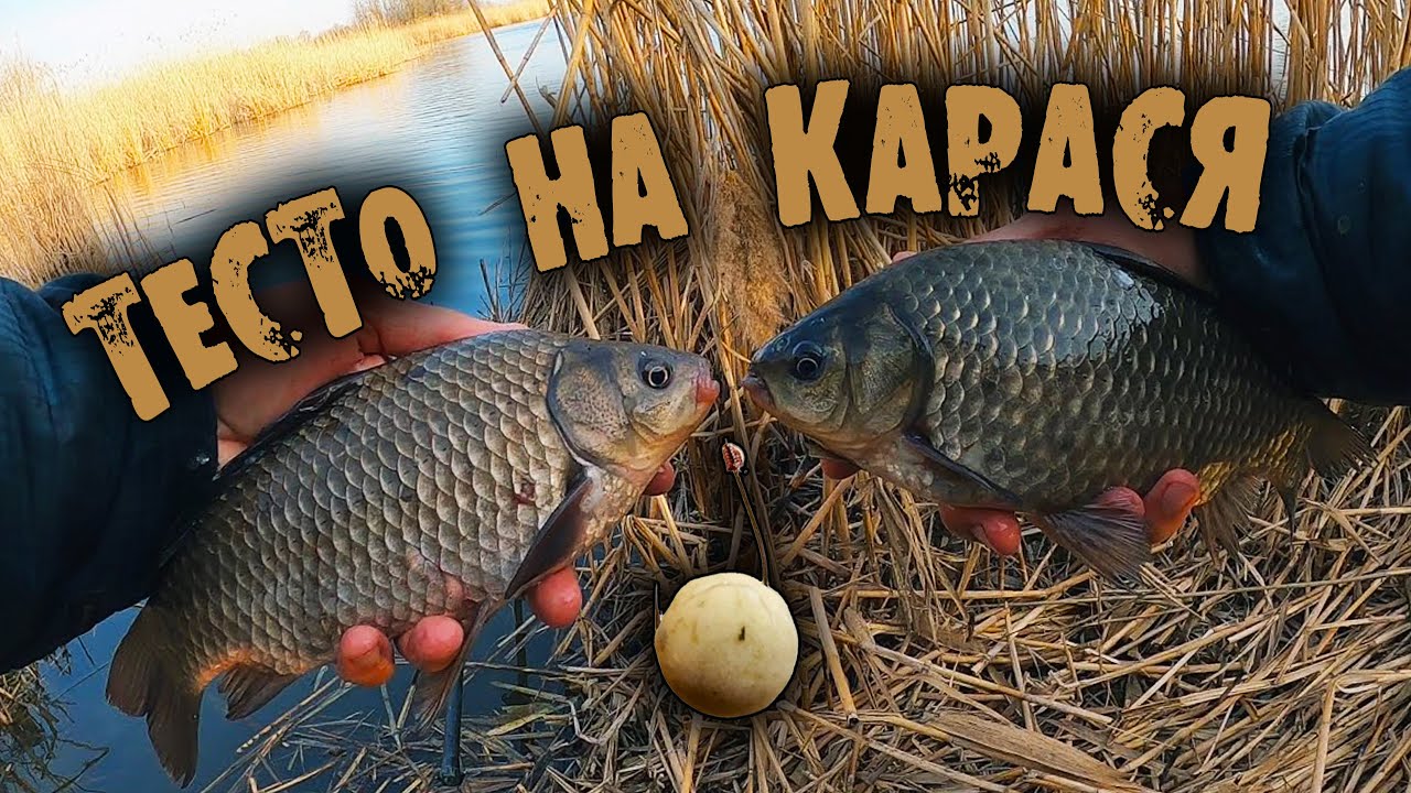 УЛОВИСТОЕ ТЕСТО которое трудно снять с крючка. Тесто на карася, карпа и леща с линём