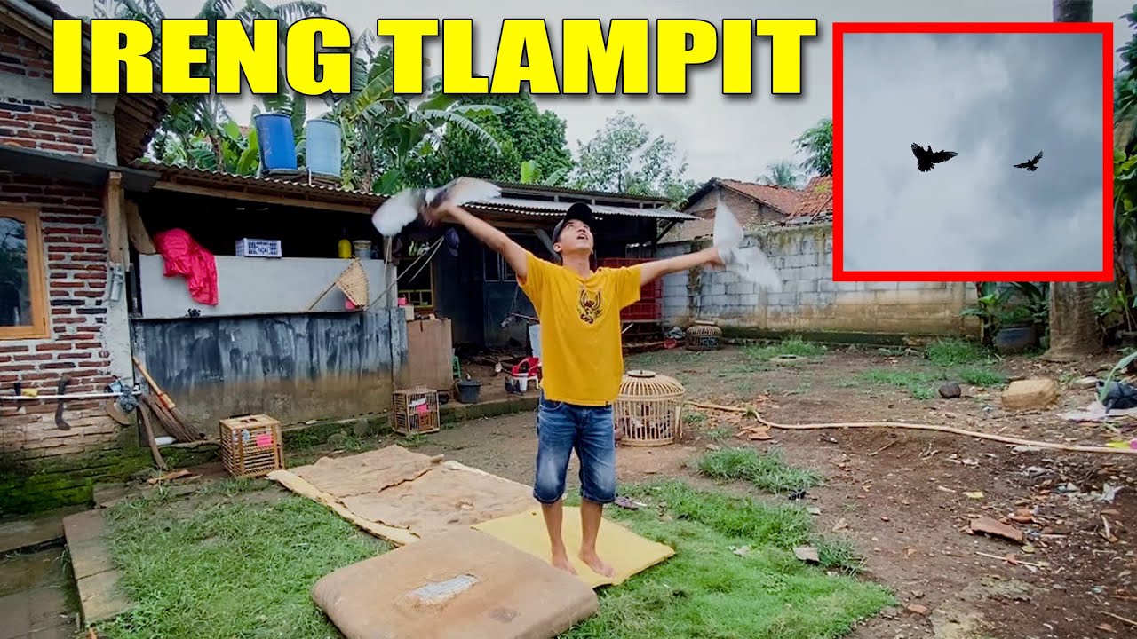 TRANING IRENG TLAMPIT