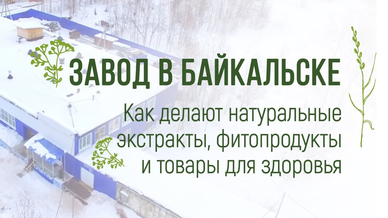 Завод в Байкальске &ndash; Как делают натуральные экстракты, фитопродукты и товары для здоровья