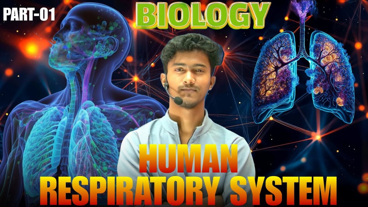 Respiration & Breathing | Human Respiratory System Simplified  | Biology By Ansar Sir