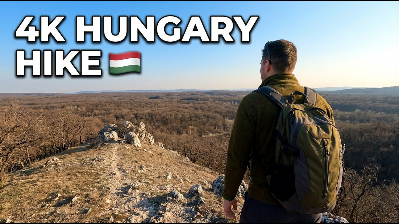 4K Forest Hike in Hungary 🇭🇺 | Birds Chirping, Crunchy Leaves & Hilltop Views (No Talking)