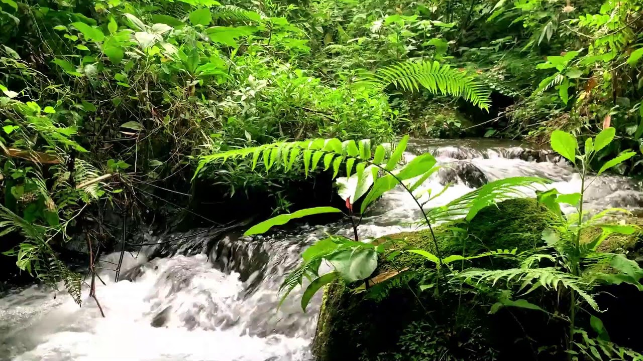 Babbling Brook Flow for Learning, Stress Relief, Homework