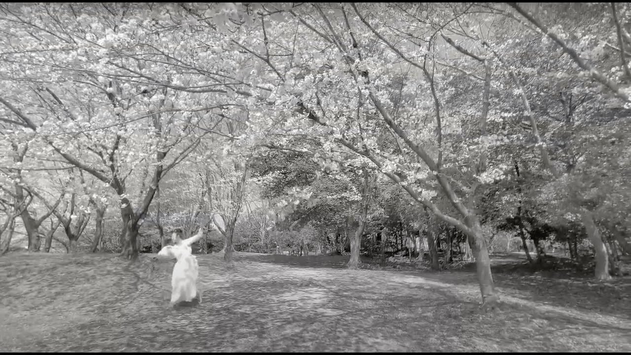 はるひのひ - Spring breath -
