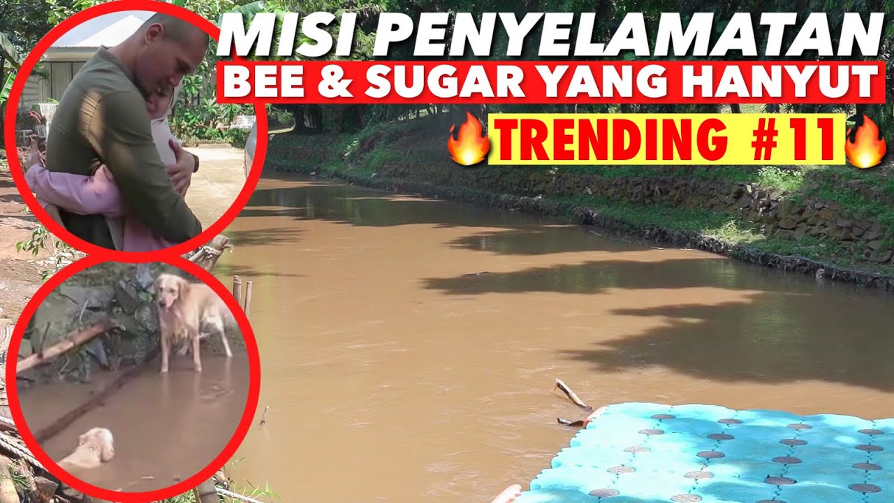 KEADAAN BEE & SUGAR SAAT DITEMUKAN HANYUT DI KALI