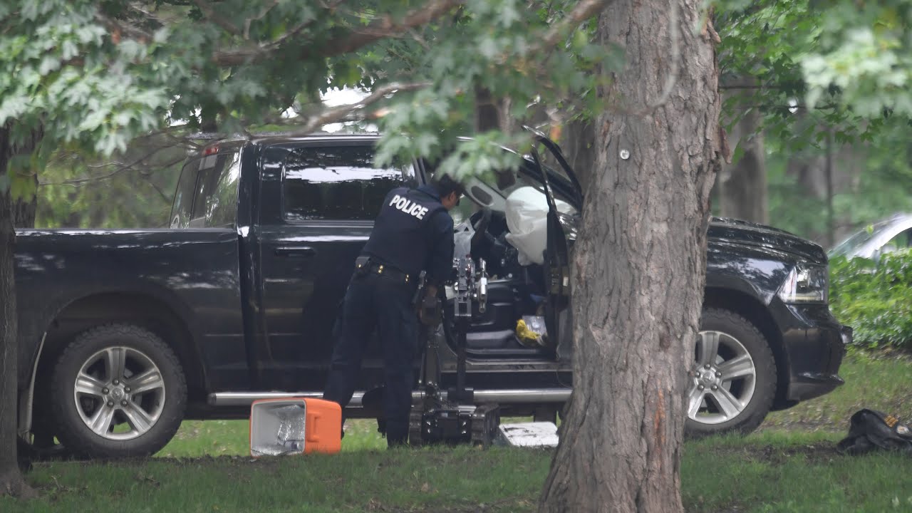 Reservist who rammed Rideau Hall gate, tried to arrest Trudeau gets six year prison sentence