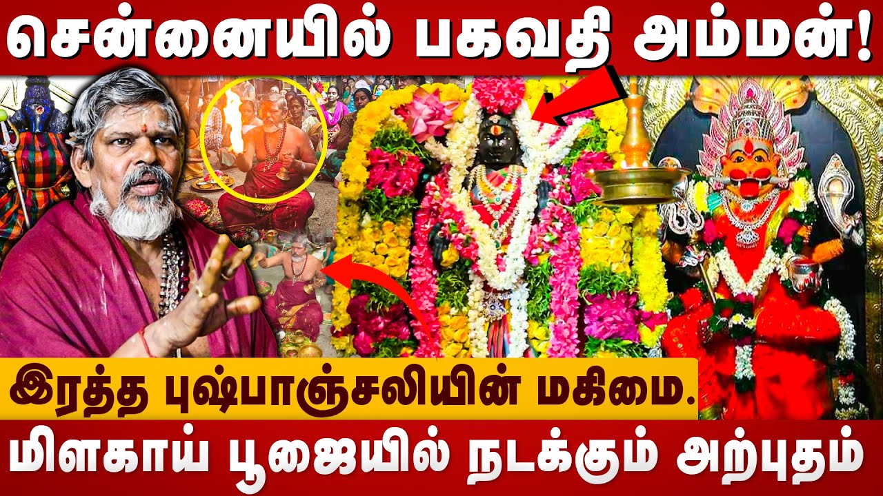 சென்னையில் பகவதி அம்மன்! | Bagavathi Amman | Chennai Temples | Amman Kovil | The Divine Tamil