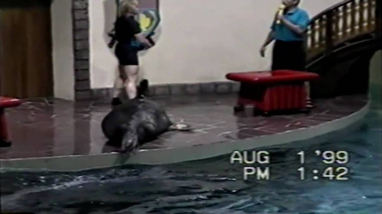 Vol 2 (2/11) Marineland Canada 1999 - The Sea Lion & Seal Show