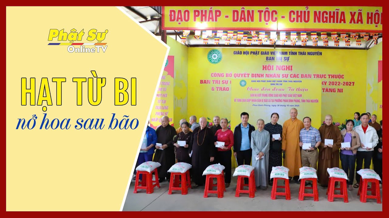 HẠT TỪ BI NỞ HOA SAU BÃO