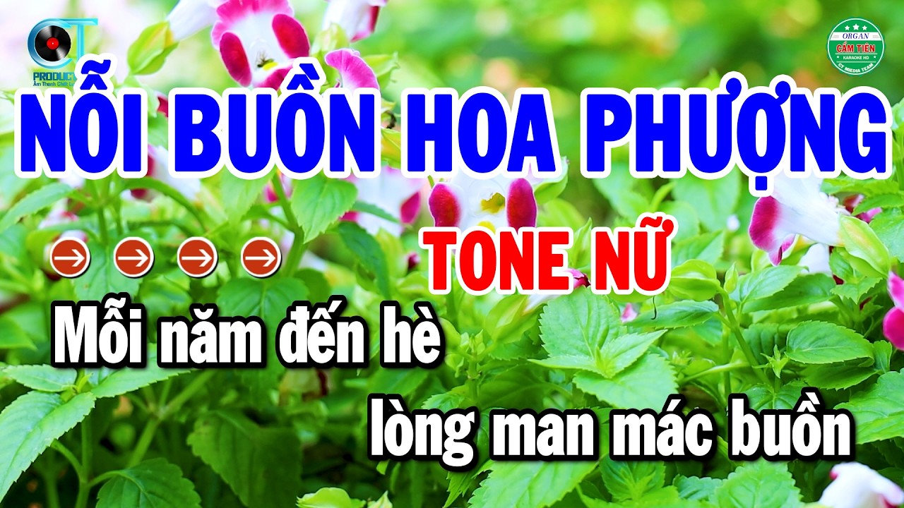 Karaoke Nỗi Buồn Hoa Phượng Tone Nữ Nhạc Sống Chuẩn Nhất | Cẩm Tiên Organ