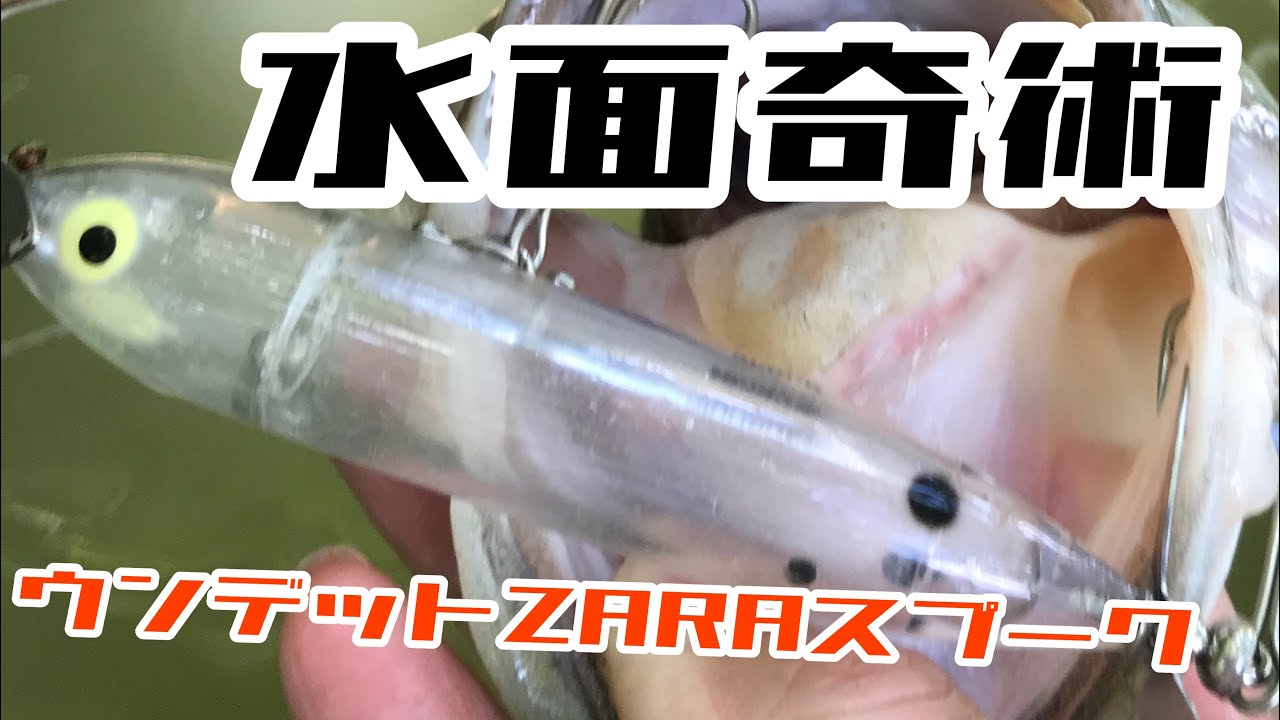 水面奇術 #192 Heddon ウンデッド ZARA スプーク