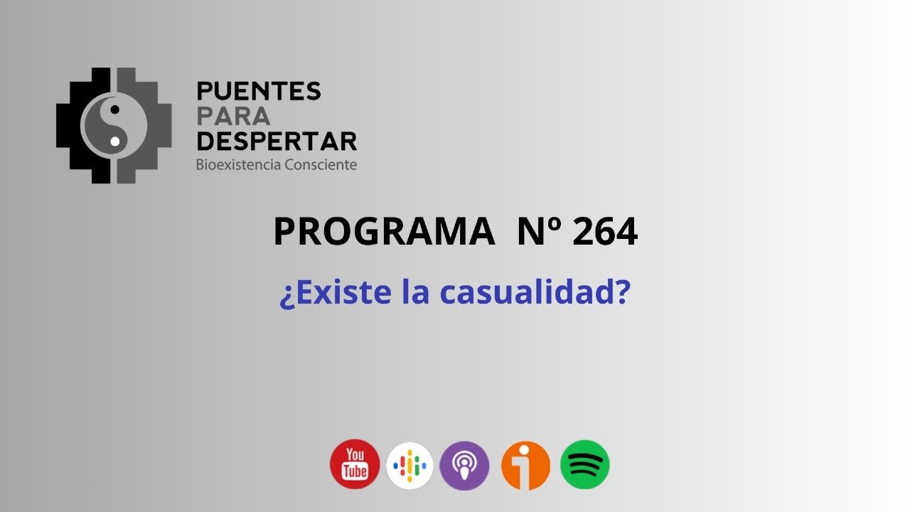 Programa Nro. 264 de Puentes para Despertar, Existe la Casualidad?
