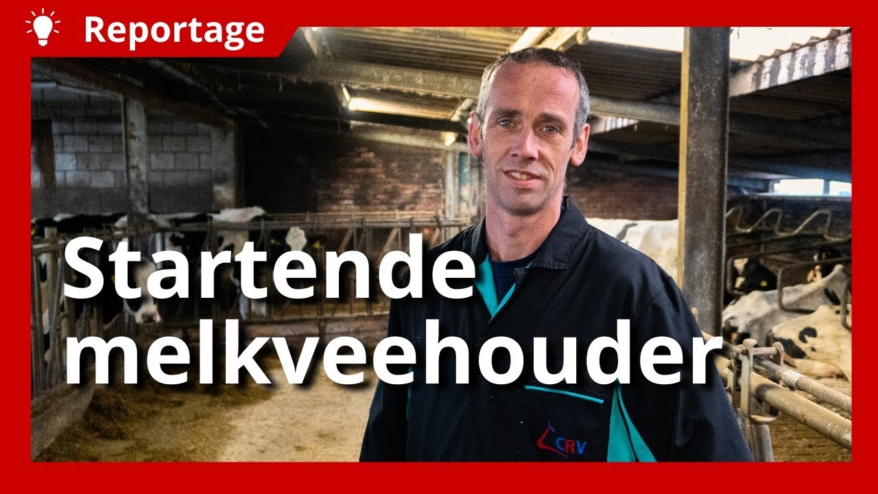 Remco start nieuw melkveebedrijf: ‘De grupstal is verbouwd tot tijdelijke melkstal’
