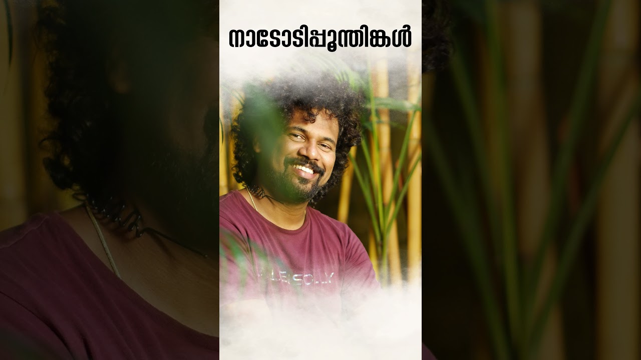 Nadoodi Poonthinkal l Flute Version l SreeRam St l Soulful Melodies l Instrumental l flute music