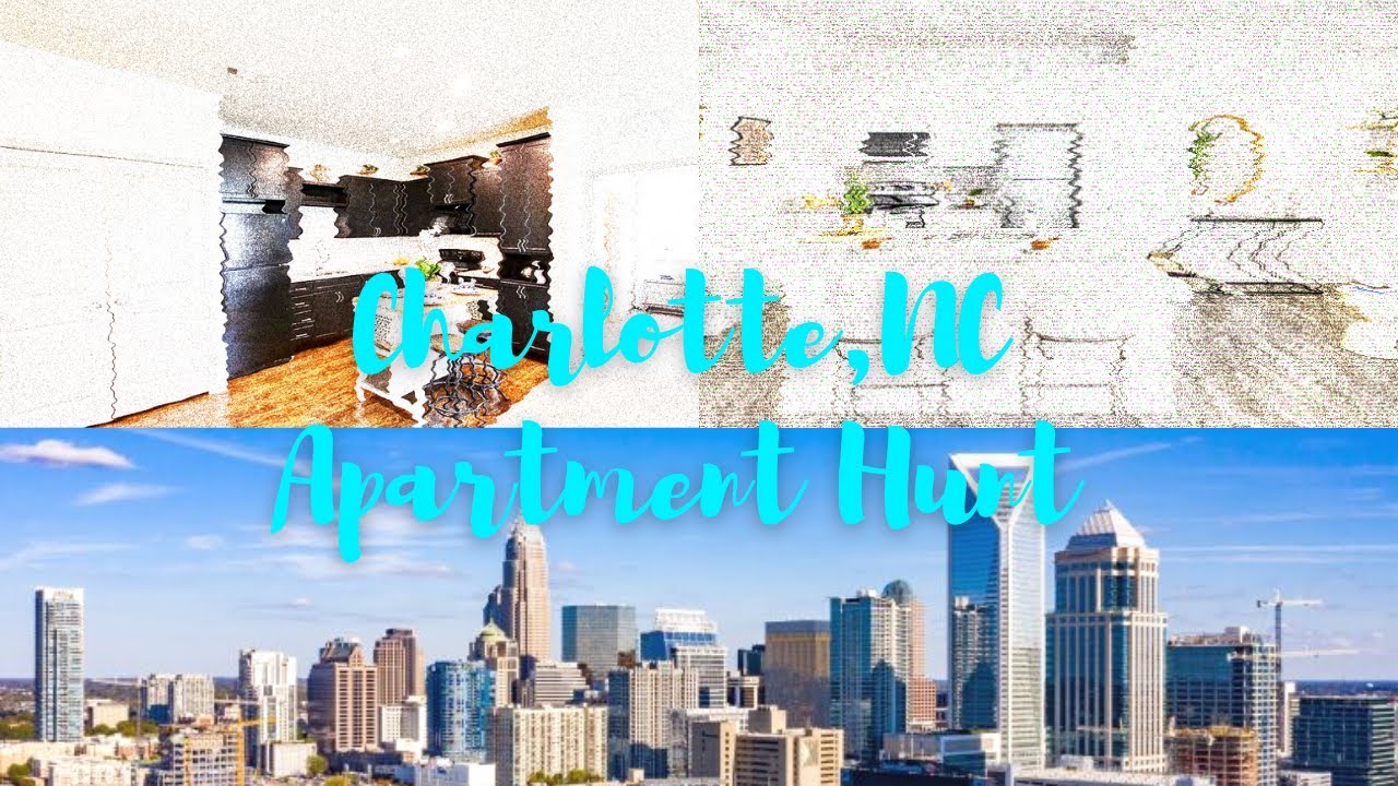 Charlotte Apartment Hunt | Names + Prices Pt3. #Charlotte #NorthCarolina #ApartmentHunt