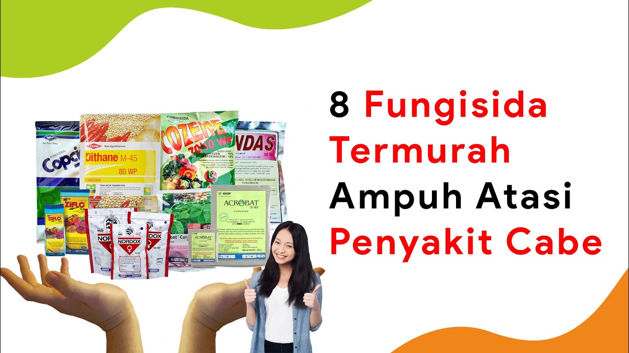 8 Fungisida Termurah Tapi Ampuh, Harga 20 Ribuan!!