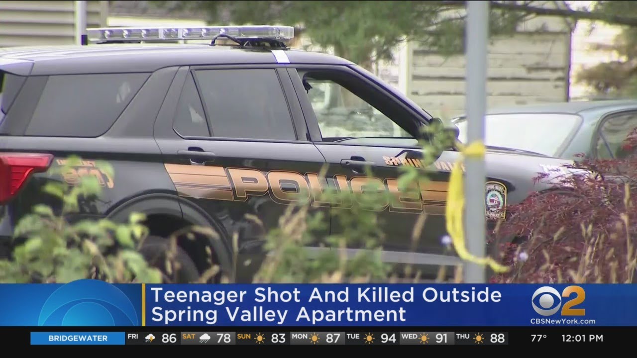 Teen shot and killed outside Spring Valley apartment