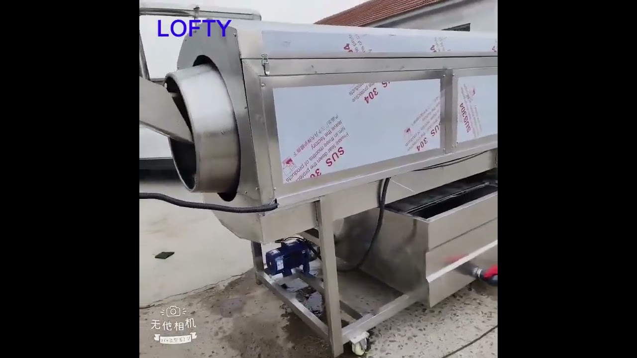 Fruit and Vegetable Washer---Radish Washing Machine #restaurant #vegetable #fruit