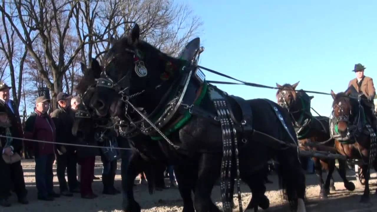 Bad Tölz Leonhardifahrt 2015