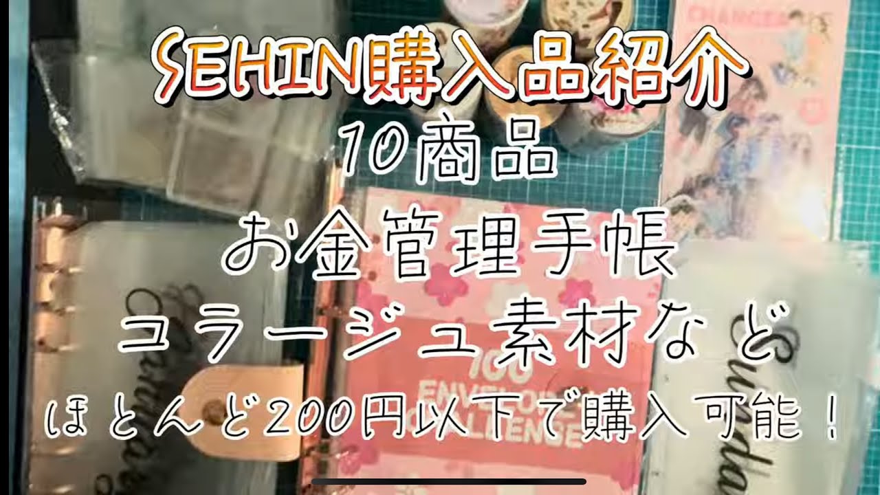 SEHIN購入品/お金管理手帳／ジッパーバック/一週間ジッパーバック/リフィルとバインダー#SEHIN #貯金　#コラージュ