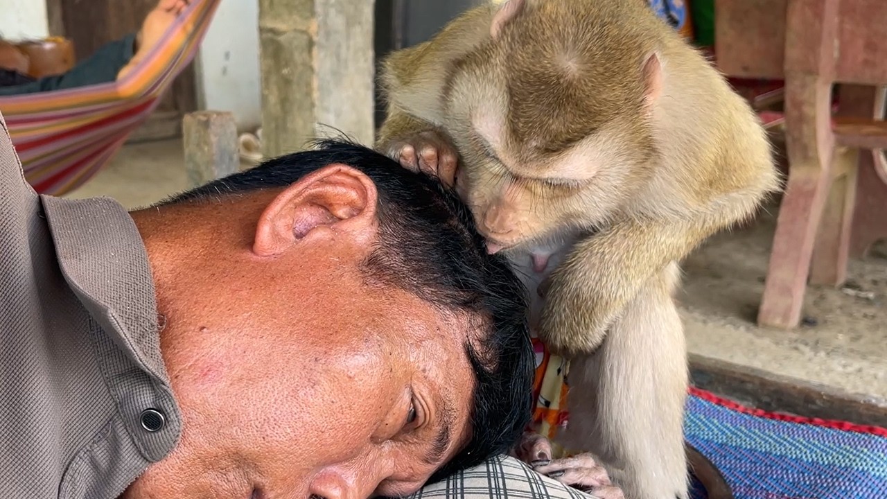 ASMR Zueii Gently Grooming Grandpa Forehead While He Falls Into Deep Sleep