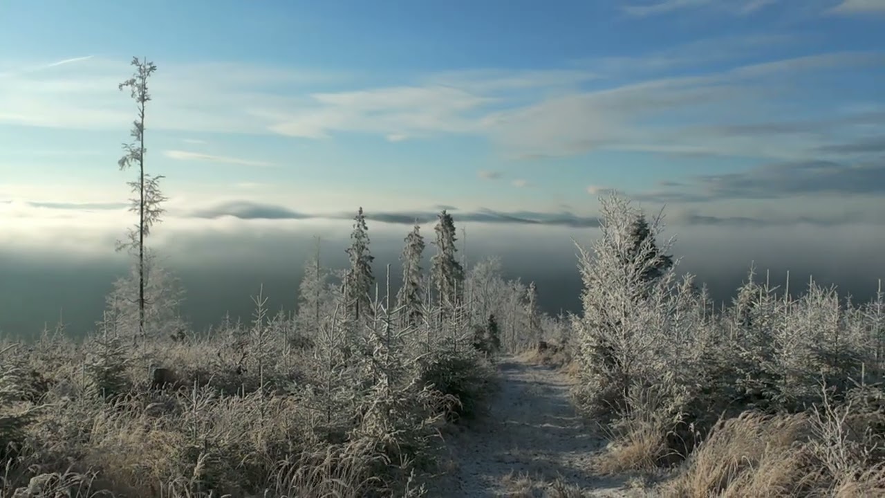 Beskid Żywiecki  Krawców Wierch 1080 m