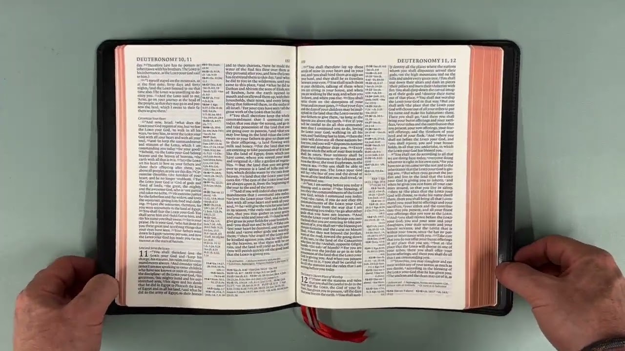 The Cambridge Diadem Bible Revisited