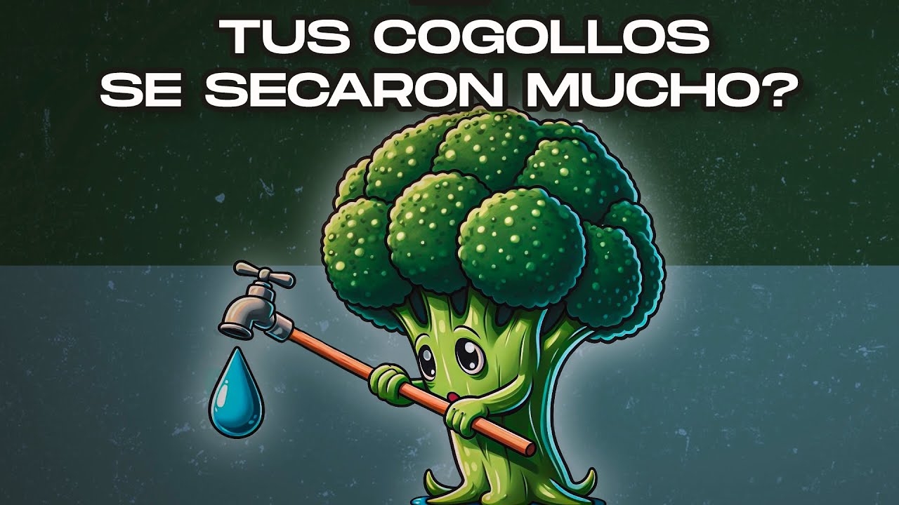 C&oacute;mo REHIDRATAR tus COGOLLOS que se SECARON MUCHO?