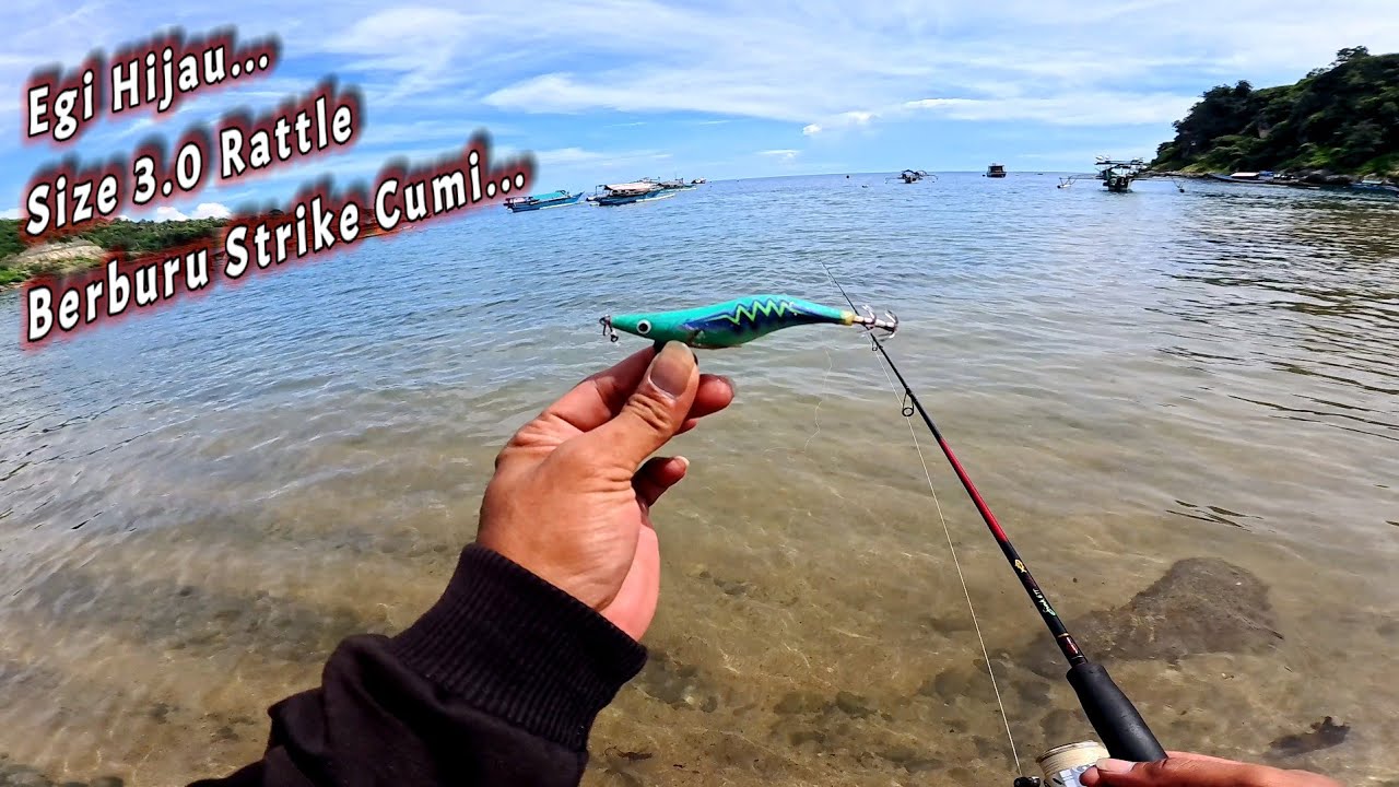 BERBURU CUMI...!! Setiap lempar langsung di sambar cumi || Mancing cumi di pinggir pantai siang hari