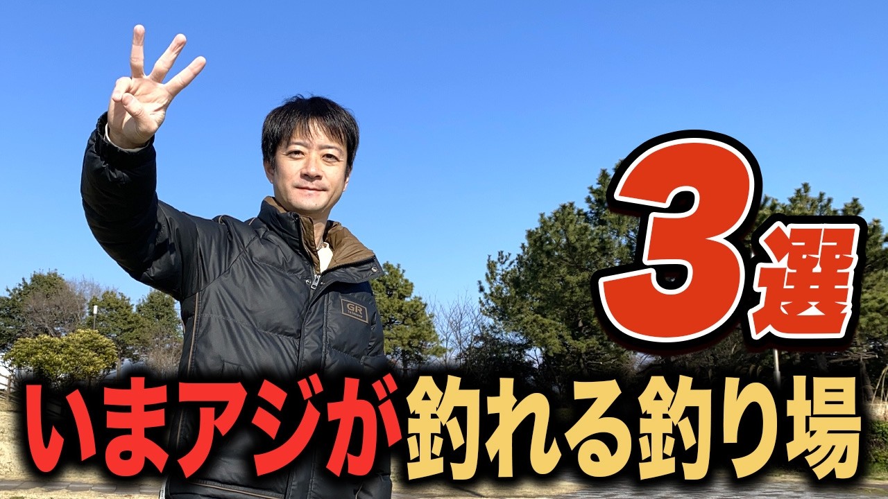 【関東釣り場紹介】いま現在アジが釣れている釣り場と堤防釣りに最適な5000番リール紹介
