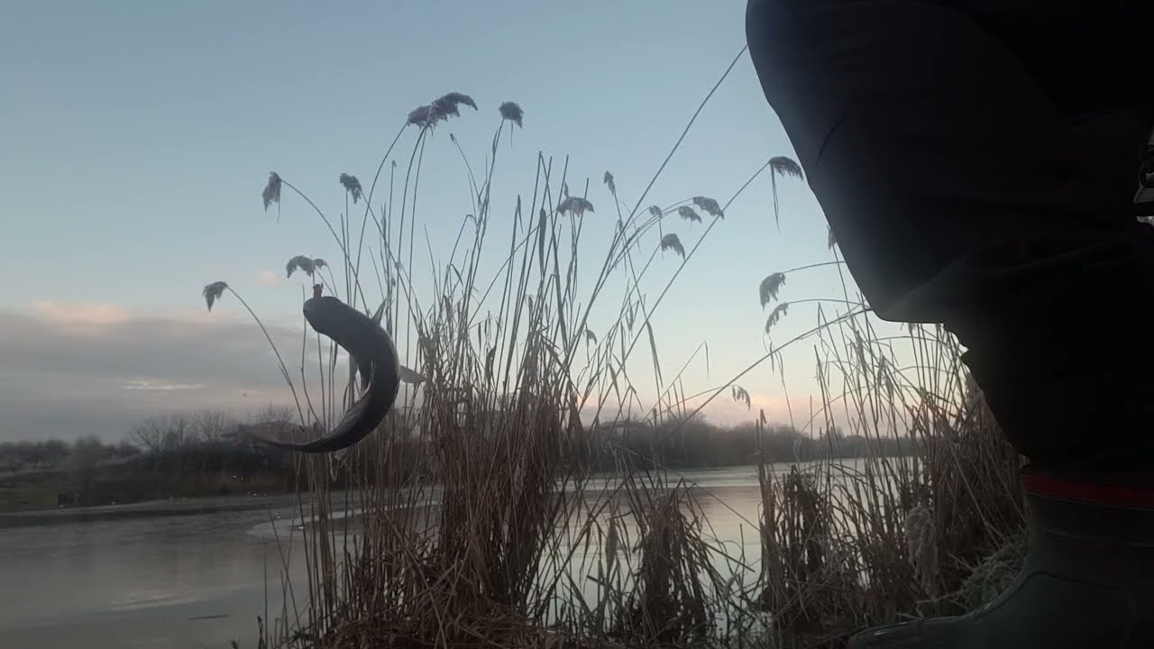 L&acirc;ngă  Stuf  !