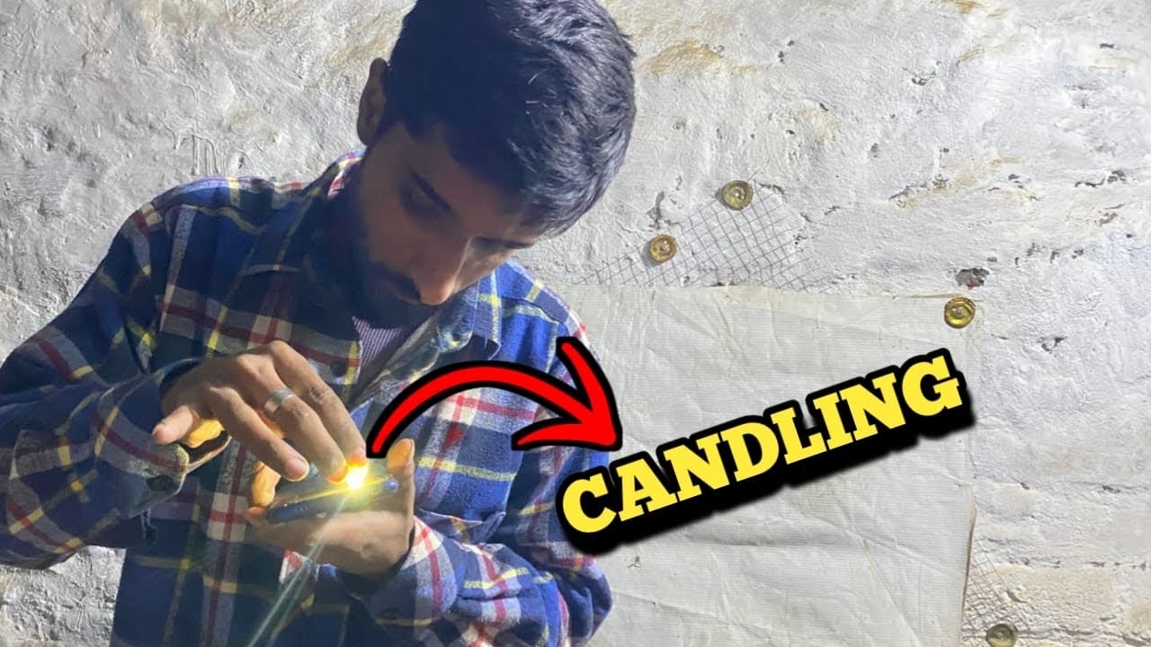 Aj ke Andoo ke candling | Good news 