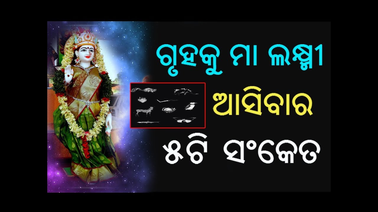 ଗୃହକୁ ମା ଲକ୍ଷ୍ମୀ ଆସିବାର ୫ଟି ସଂକେତ // gruhaku maa laxmi asibara 5ti sanketa // Odia Bayagita Tips