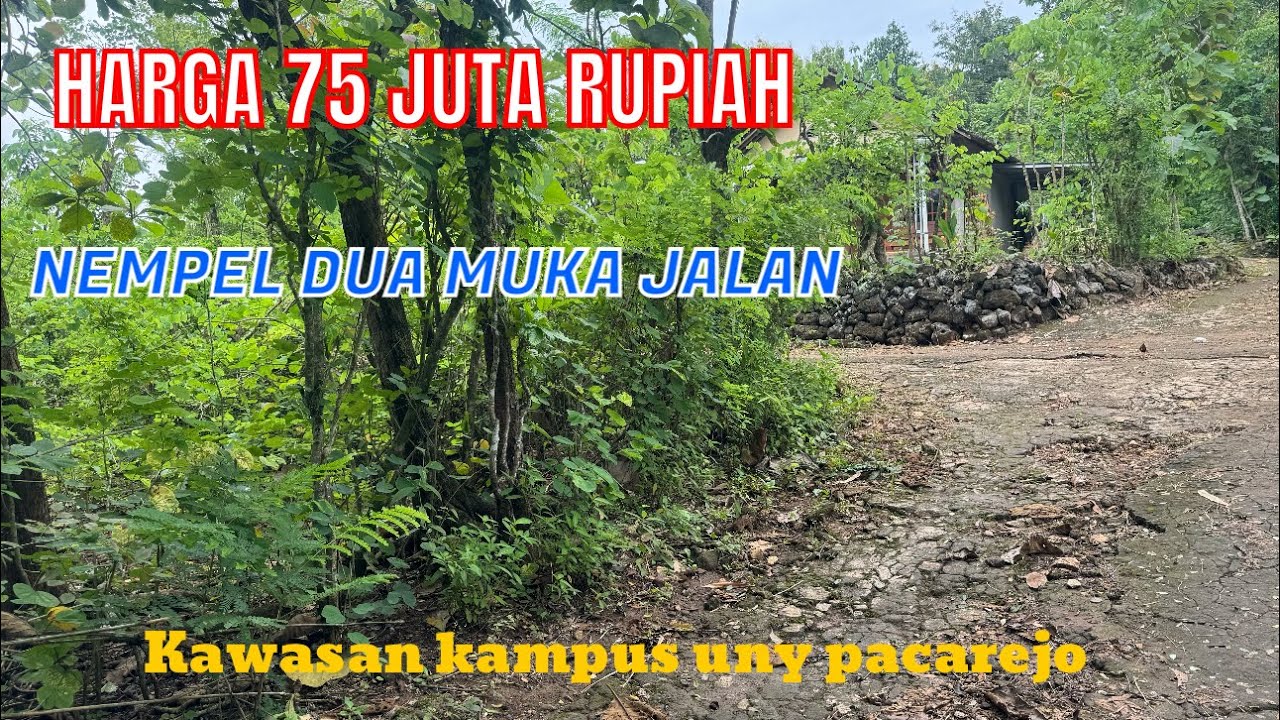 HARGA 75 JUTA RUPIAH ( LUAS TANAH 346 METER) KAWASAN KAMPUS UNY PACAREJO