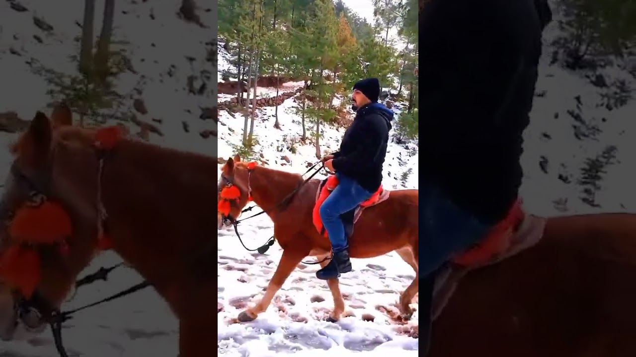 FILMSTAR SHAHBAAZ BUILDER ENJOY HORSE RIDE #lollywood #PAKISTANISUPERSTAR
