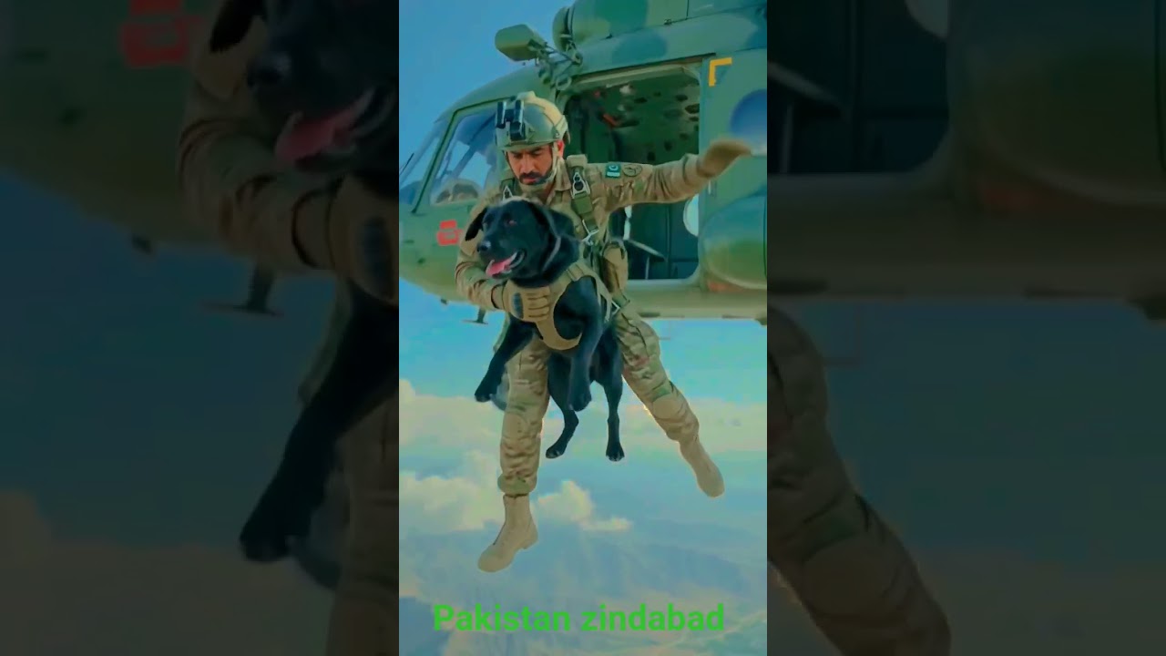 Pakistan army dog jump from helicopters 🚁 #pakarmyzindabad #army #pakarmy