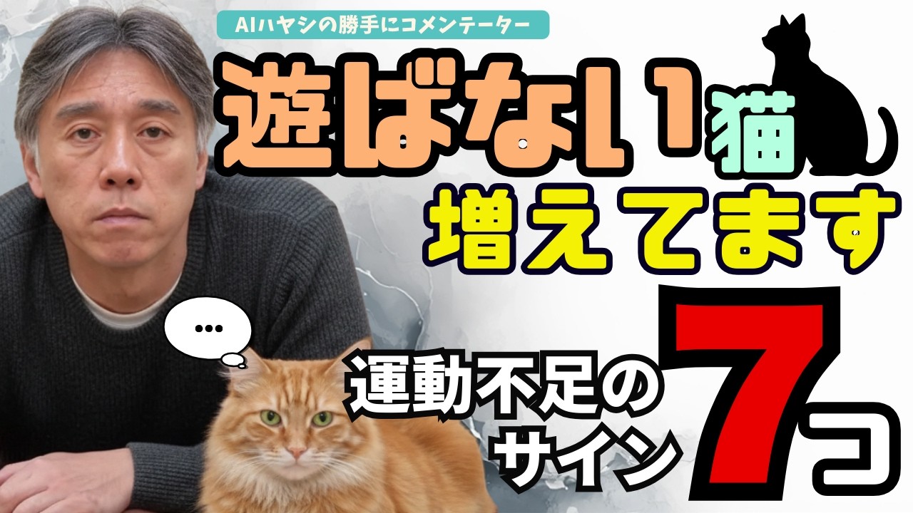【獣医師が警告】“遊ばない猫”が増えています…室内猫の健康を静かに奪う運動不足のサイン7つ