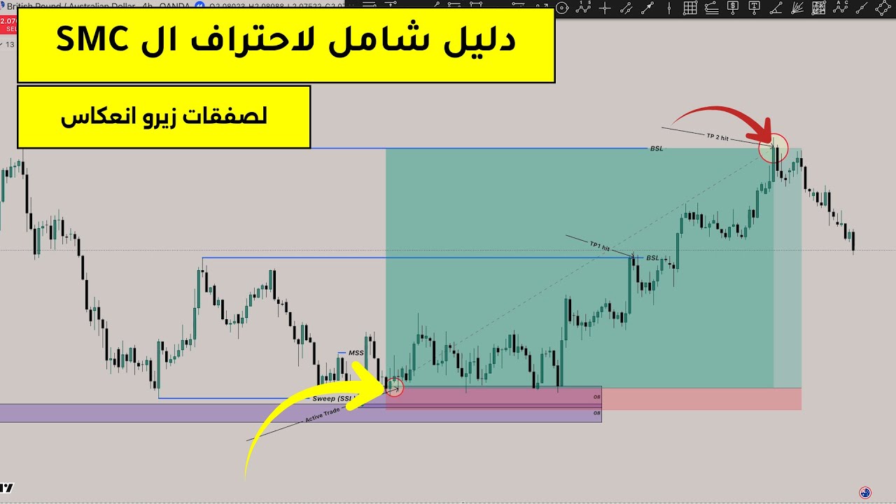 أقوى 3 نماذج دخول احترافية في الـ SMC ‎|‎ SMC + Order Block + Liquidity Models 2025