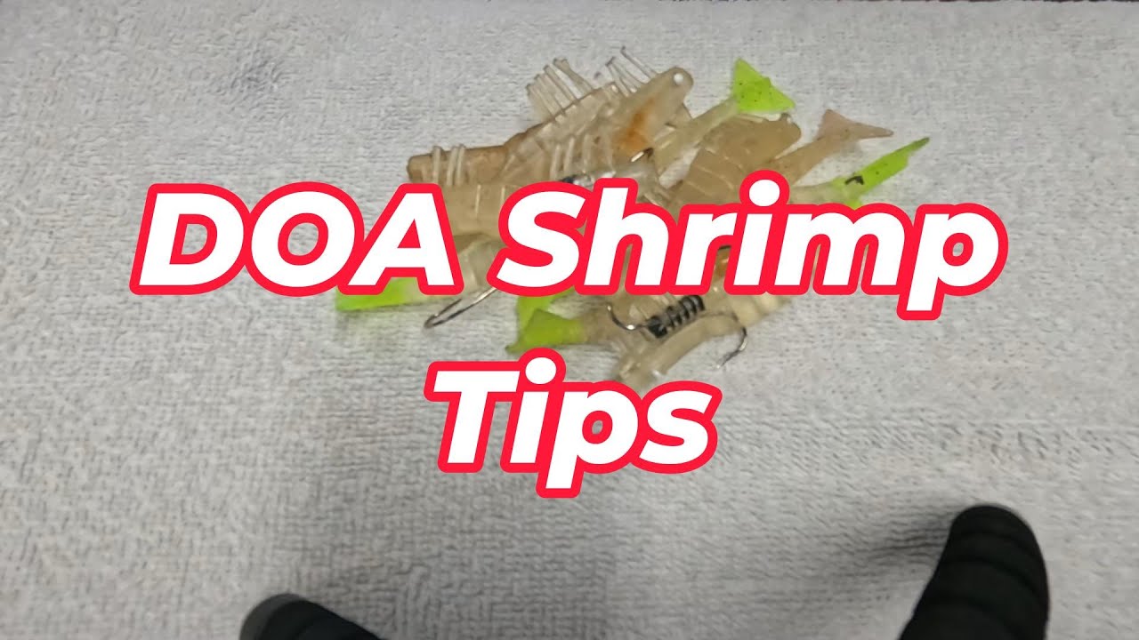 DOA Shrimp Tips (How to Recycle Used DOA Shrimp)