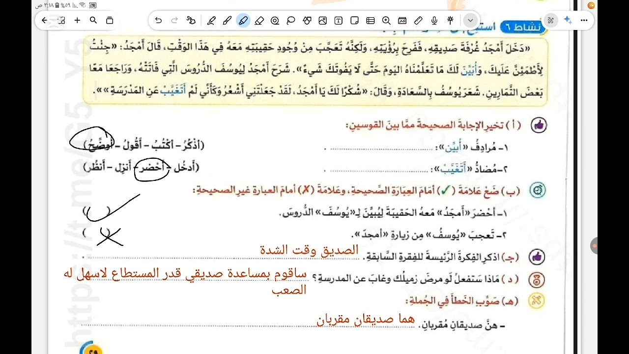 حل صفحة 28 29 30 31 32 كتاب الاضواء لغة عربية الصف الرابع تدريبات نافذة الصداقة الترم الثاني 2026