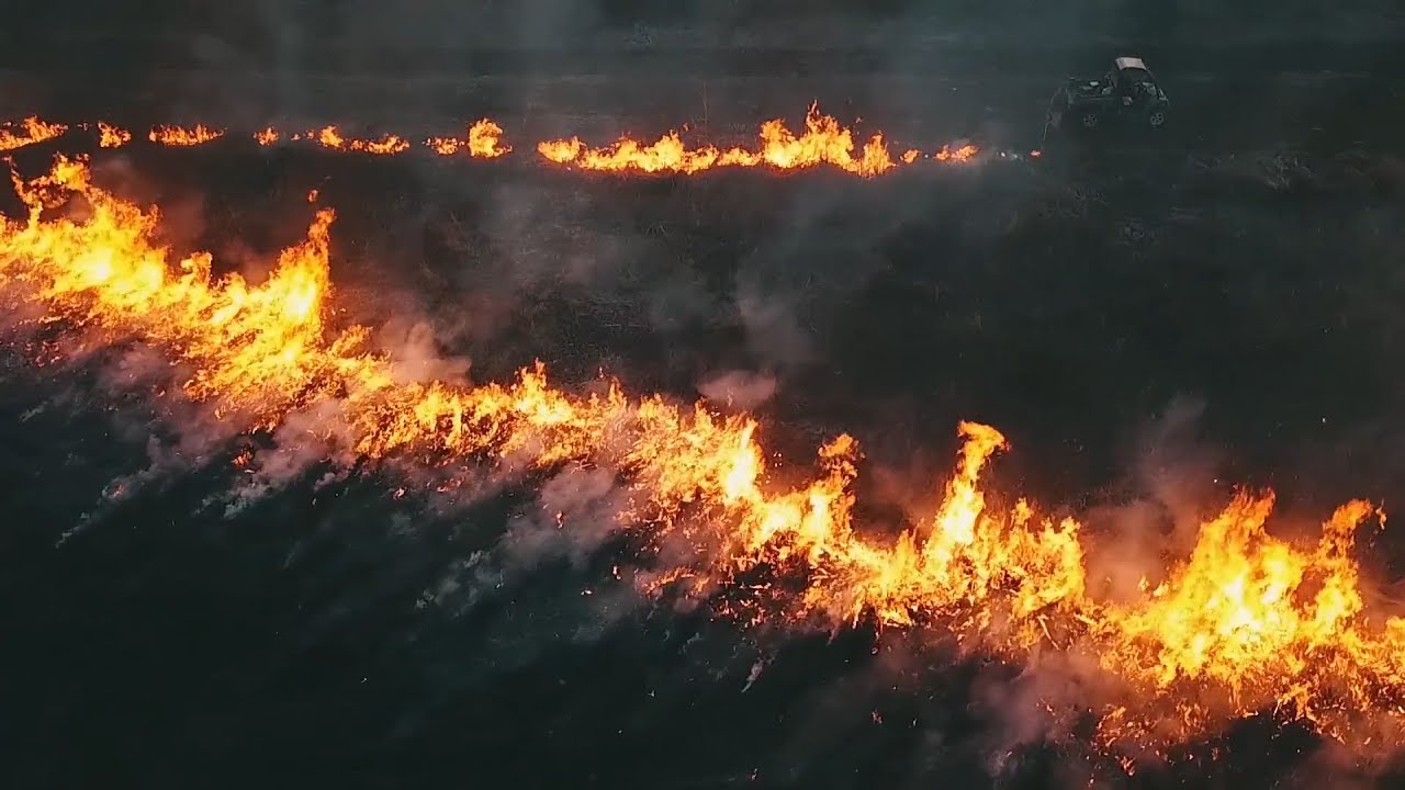 Controlled Burning Native Grasses For Whitetail Habitat in Indiana - The Management Advantage