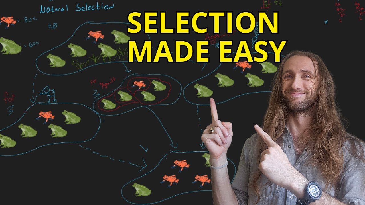 Natural Selection Explained! - Simple definition w/ 3 examples