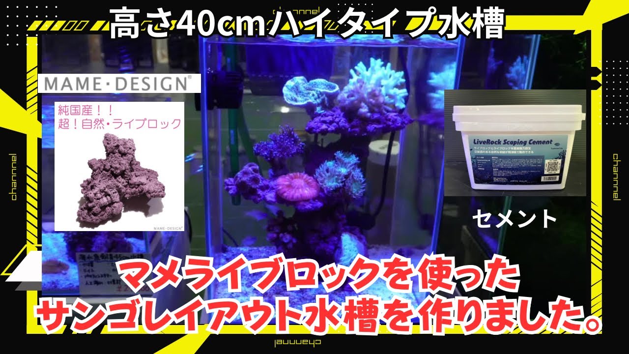 【サンゴライブロックレイアウト海水魚水槽】マメライブロックとプレートタイプを組み合わせて立体的なサンゴ水槽を立ち上げました。LED照明にサンゴ飼育可能なZOOX リーフナノミニを使用。小型水槽