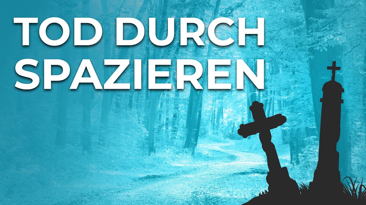 So gefährlich ist der Wald